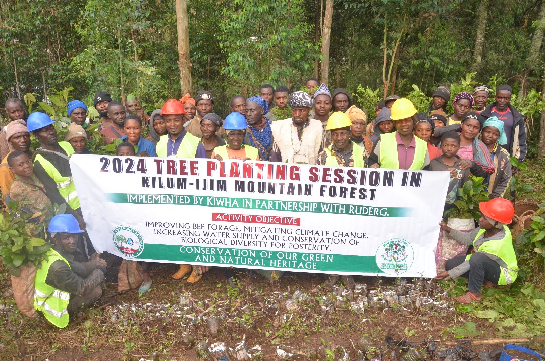 «3000 arbres plantés pour préserver la forêt de Kilum-Ijim. »