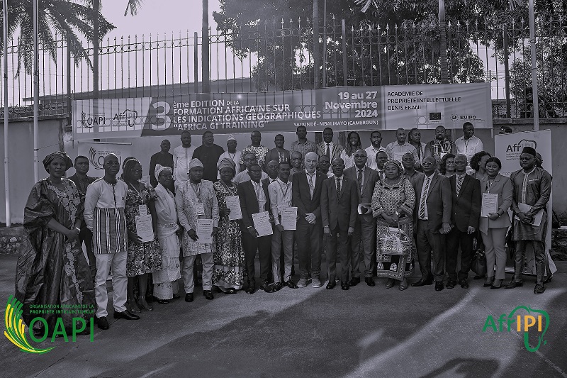 « Cérémonie de clôture de la 3e édition de la Formation Africa GI Training par l’OAPI »